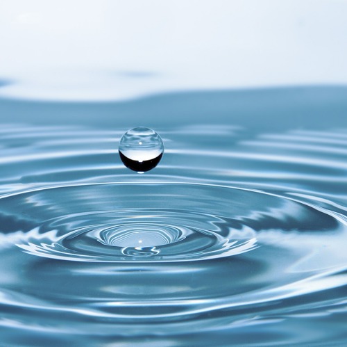 Wassersparte INFO 04/2026
