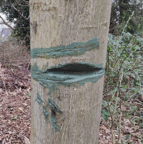 Vandalismus